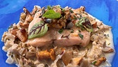 Saibling in Pilzrahmsauce mit Steinpilzen, Eierschwammerln, Krauser Glucke und Mölltaler Roggenreis