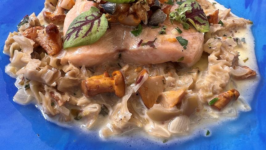 Saibling in Pilzrahmsauce mit Steinpilzen, Eierschwammerln, Krauser Glucke und Mölltaler Roggenreis
