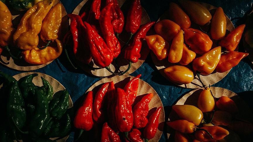 © Unsplash (Beispielfoto) Chili Sauce