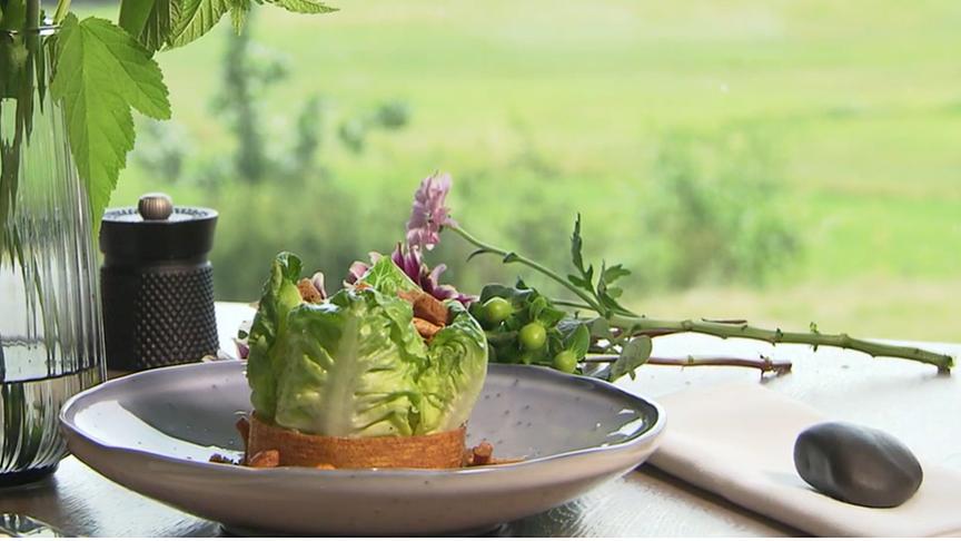 Sommerlicher Salat mit eingelegten Eierschwammerln