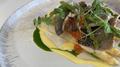 Gebratenes Forellenfilet
