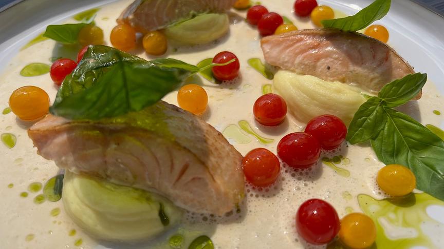 Saibling in weißem Tomatenschaum