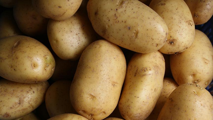 Gefüllte Kartoffeltascherl 