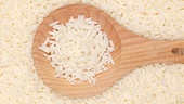 Ein Kochlöffel voll Reis