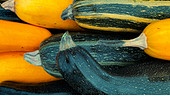 Kugelzucchini mit Eierfülle