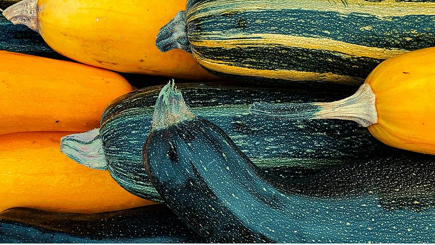 © Unsplash (Beispielfoto) Kugelzucchini mit Eierfülle