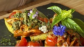 Polenta-Kräuter-Rauten mit Eierschwammerl-Tomaten-Ragout und Walnuss-Basilikum-Pesto