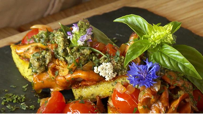 Polenta-Kräuter-Rauten mit Eierschwammerl-Tomaten-Ragout und Walnuss-Basilikum-Pesto