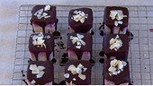 Raspberry Coconut Protein Ice Bites