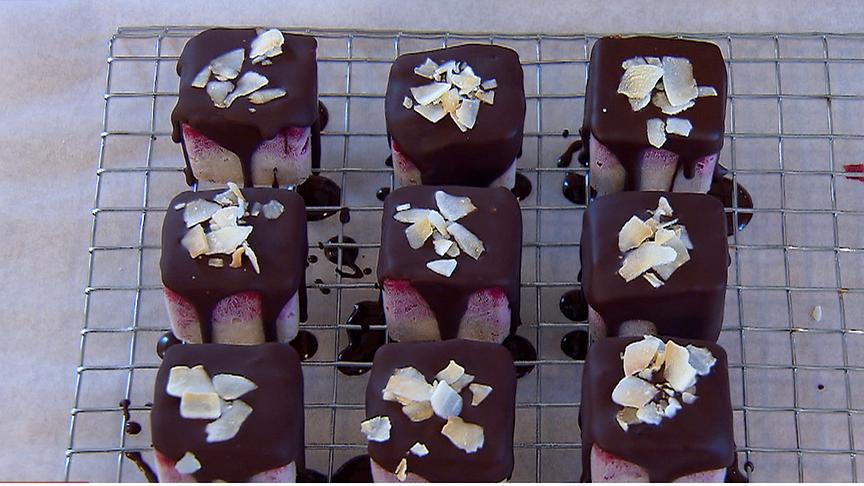 © ORF Raspberry Coconut Protein Ice Bites