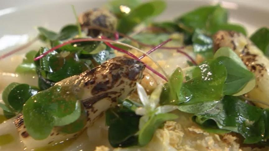 Spargel-Pasta