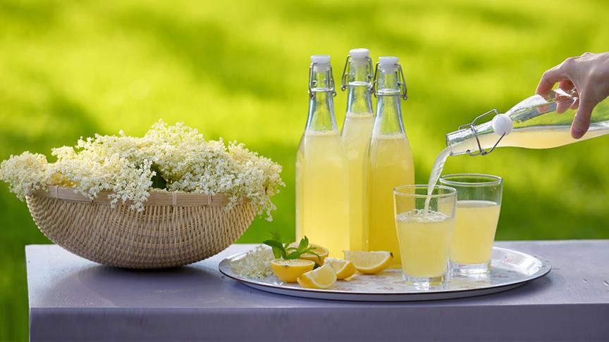 © Colourbox Holunderblüten und Hollersaft.