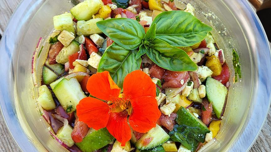 Bunter Sommersalat Zutaten: Tomaten, Paprika, Gurken, roter Zwiebel, Basilikum, Schafskäse, Morzarella. Alles klein schneiden, mit Kräutersalz und etwas Pfeffer würzen. Mit Kürbiskernöl und Essig abschmecken - passt gut zu Gegrilltem. (Marina Kuschnig)