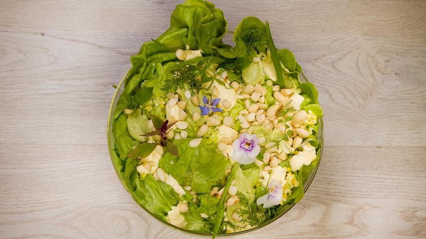 Kopfsalat im Ganzen mit Zucchinivinaigrette, gerösteten Mandeln & Currysauerrahm