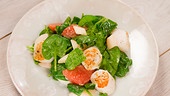 Rhabarber-Grapefruit-Spinat-Salat mit Miso-Dressing und Jakobsmuschel