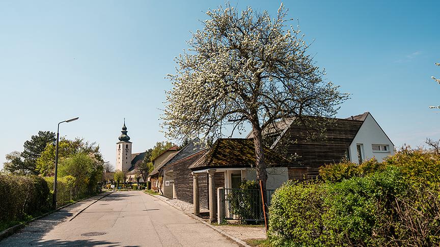 Der Hof Maleninsky: Der historische Bauernhof wurde 2009 bis 2010 modern umgebaut. Dabei wurde darauf geachtet, das alte Bauernhaus in seinen Grundzügen beizubehalten.