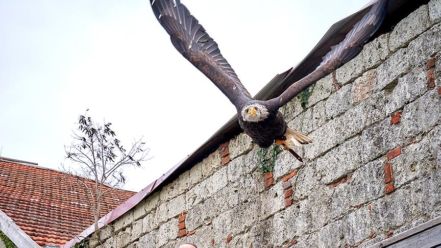 Adlerwarte Obernberg