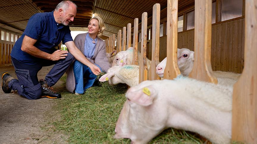 Silvia bei Sepp Eisl und seinen Schafen.