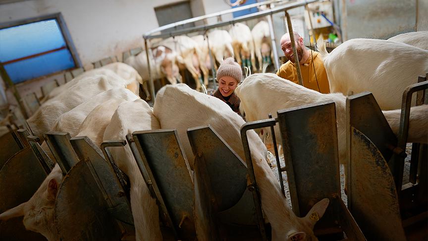 Silvia zu Besuch am Bio-Ziegenhof Mandl 