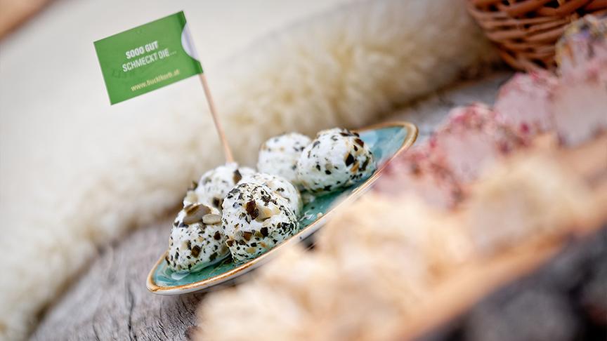 Silvia zu Besuch am Bio-Ziegenhof Mandl 