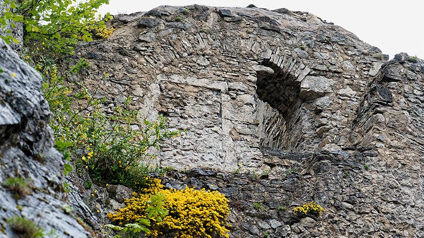 Burgruine Araburg am Kaunberg