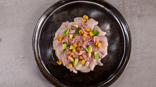 Ceviche vom BIO-Saibling mit Chili-Radieschen und Kikos