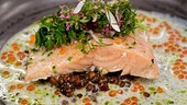 Confierter Saibling mit Berglinsen, Molke & Kräutersalat