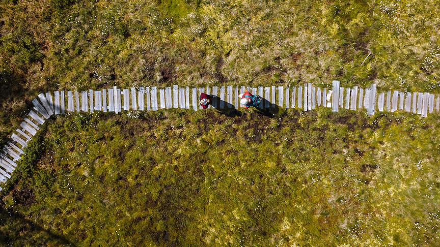 Silvia unterwegs am Rossbrand mit Wanderführerin Eva Salzegger.