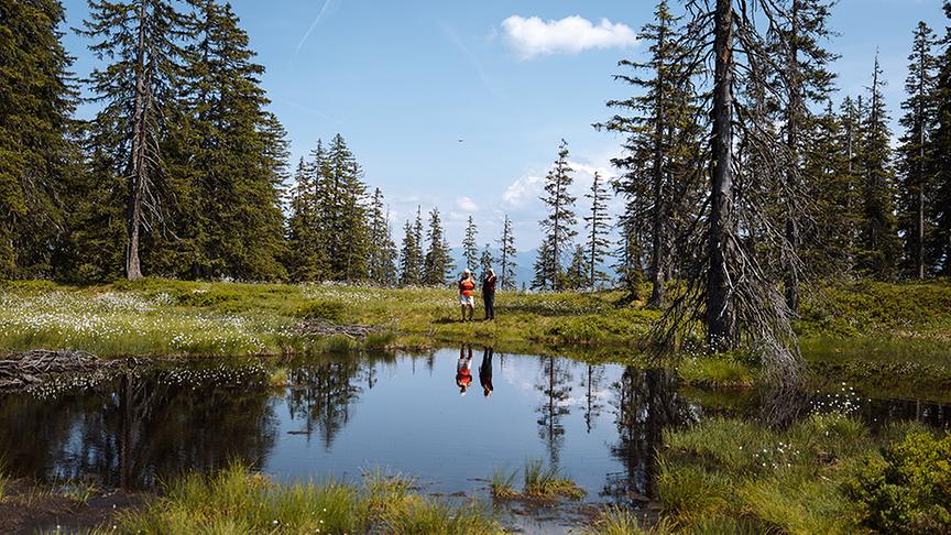 Silvia unterwegs am Rossbrand mit Wanderführerin Eva Salzegger.