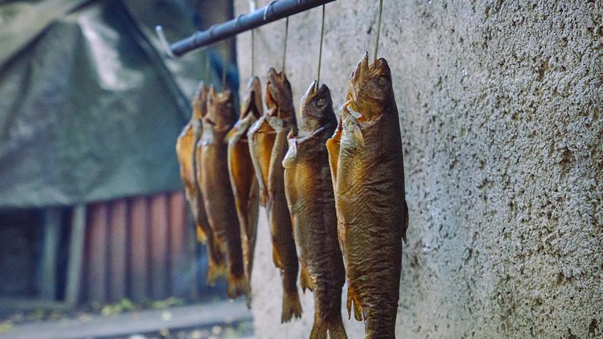 Zu Besuch beim Fischteich von Jakob Wrann.