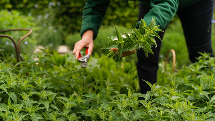 Ausschnitt aus der Sendung am 14. Mai.