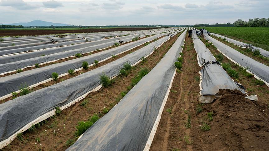 Ausschnitt aus der Sendung am 14. Mai.