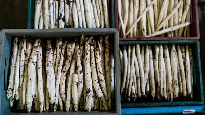 Ausschnitt aus der Sendung am 14. Mai.