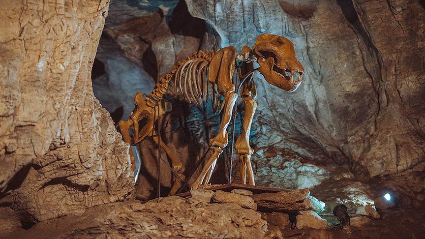 © Simeon Baker Interessante Kalksteinformationen sind nicht das Einzige, was in der Höhle besichtigt werden kann. Auch Skelette sind dort ausgestellt.