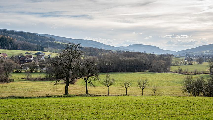 © Foto: Simeon Baker Silvia Schneider unterwegs im Yspertal.