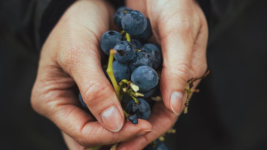 © Foto: Simeon Baker