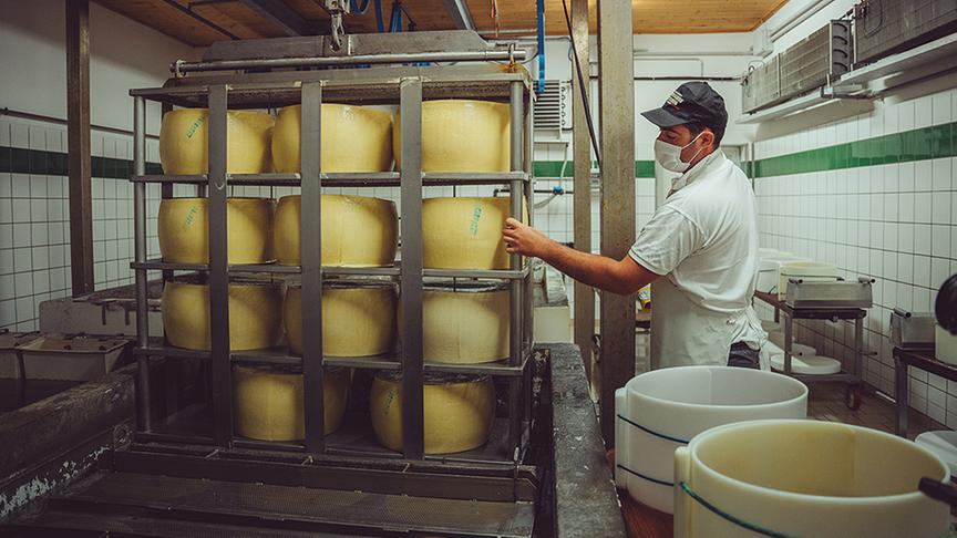 Einblick in die Produktion des berühmten Parmigiano Reggiano - bei Landwirt Filippo Peveri.