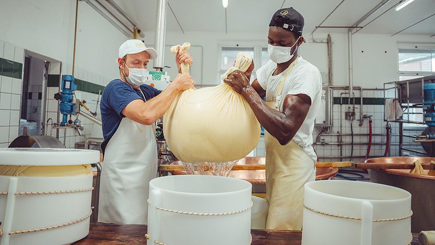 Einblick in die Produktion des berühmten Parmigiano Reggiano - bei Landwirt Filippo Peveri.