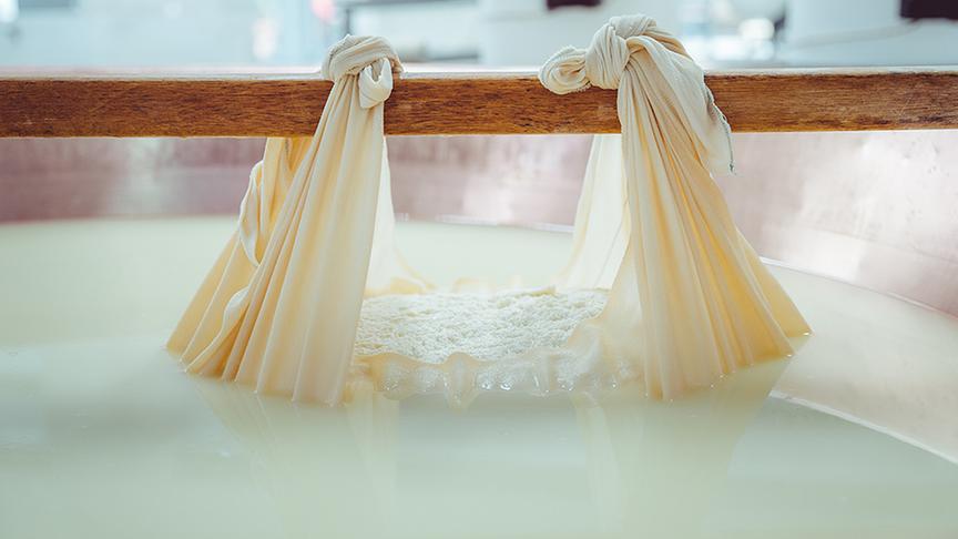 Einblick in die Produktion des berühmten Parmigiano Reggiano - bei Landwirt Filippo Peveri.