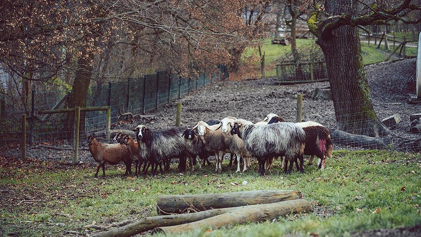 © Foto: Simeon Baker Ausschnitt aus der Sendung am Freitag, dem 26. Februar