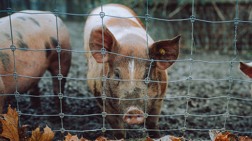 © Foto: Simeon Baker Ausschnitt aus der Sendung am Freitag, dem 26. Februar