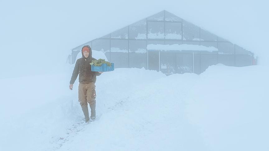 Ausschnitt au der Sendung am 29. November