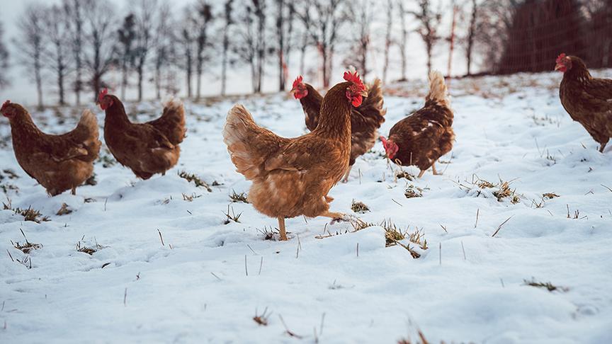 Einblick in die Freitagssendung.