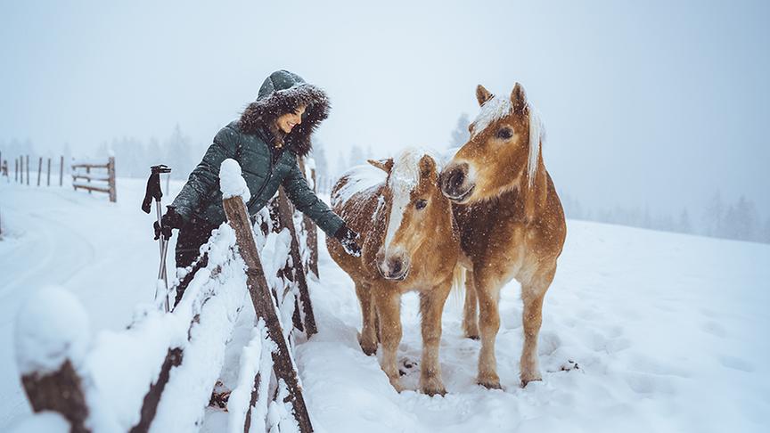 © Foto: Simeon Baker Schneeschuhwandern im Bioshärenpark Nockberge.