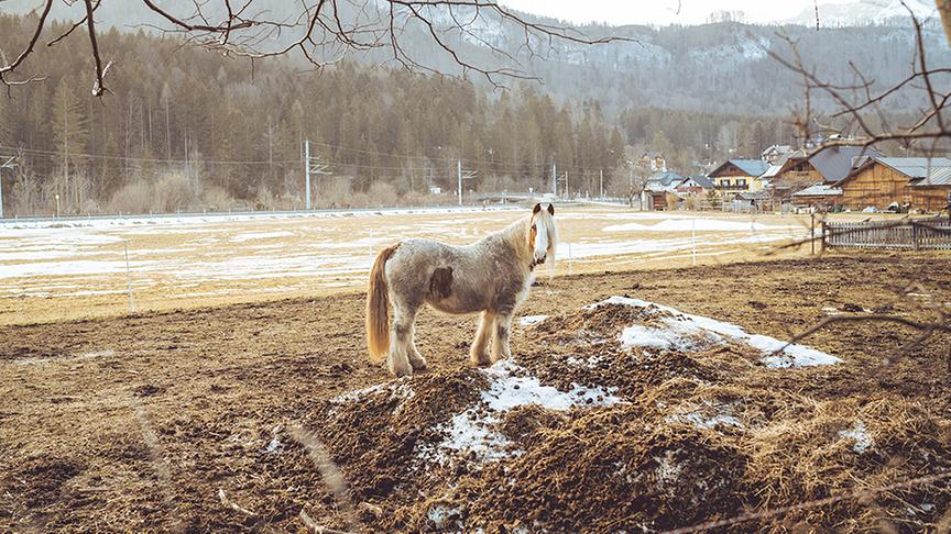 © Foto: Simeon Baker