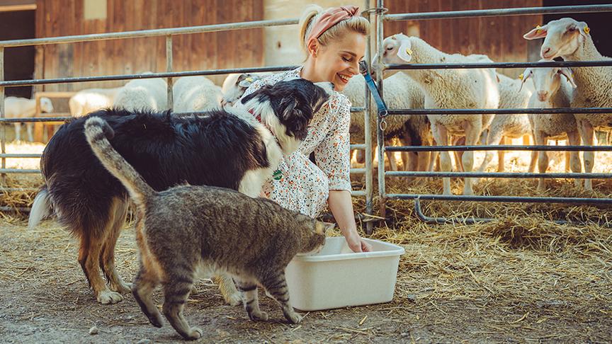 Ausschnitt aus der Sendung am Freitag, dem 8. Oktober.