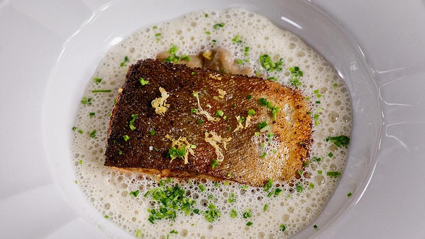 © Foto: ORF/ Silvia Schneider GmbH/ Juraj Melicher Gebratene Lachsforelle an Sauerkraut-Schaum & Schwarzbrot-Semmelkren