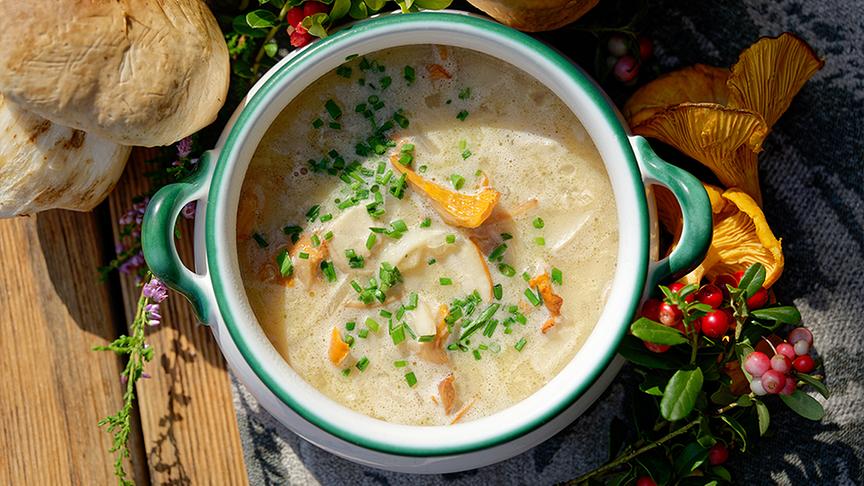 Heidensterz und Schwammerlsuppe