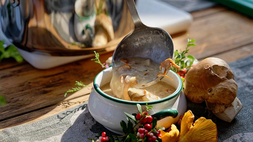 Heidensterz und Schwammerlsuppe