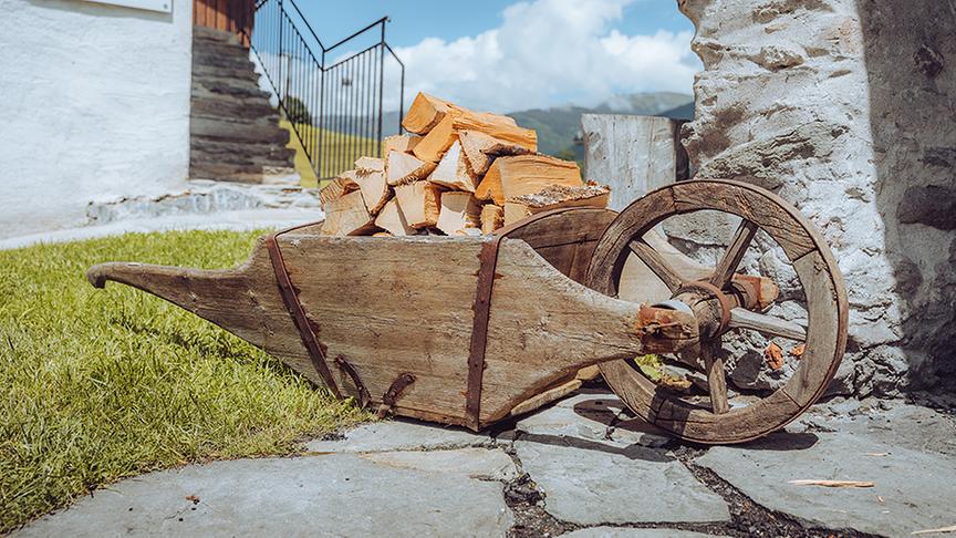 © Foto: Simeon Baker Silvia Schneider zu Besuch bei Günther Katschner.